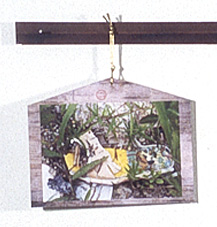 ema detail
