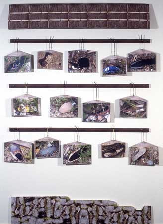 Ema installation photo